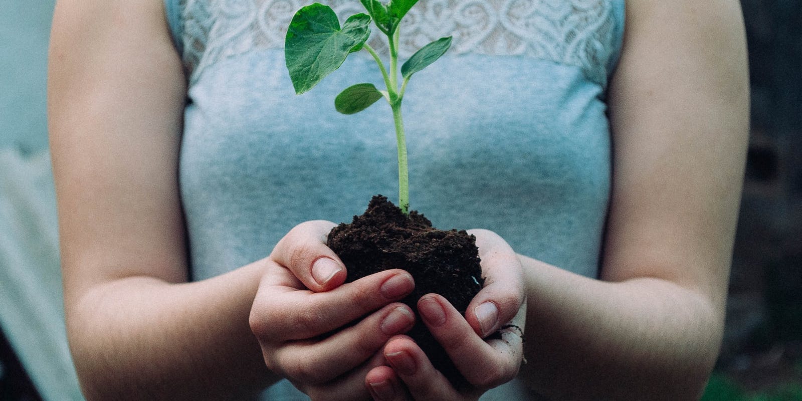 Het gezonde en duurzame voedingspatroon voor de 21e eeuw