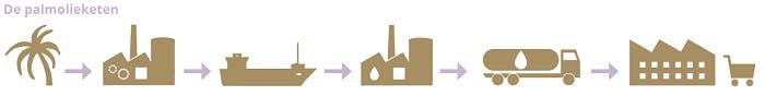 palmolieketen