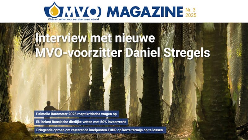 Magazine