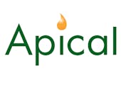 Apical