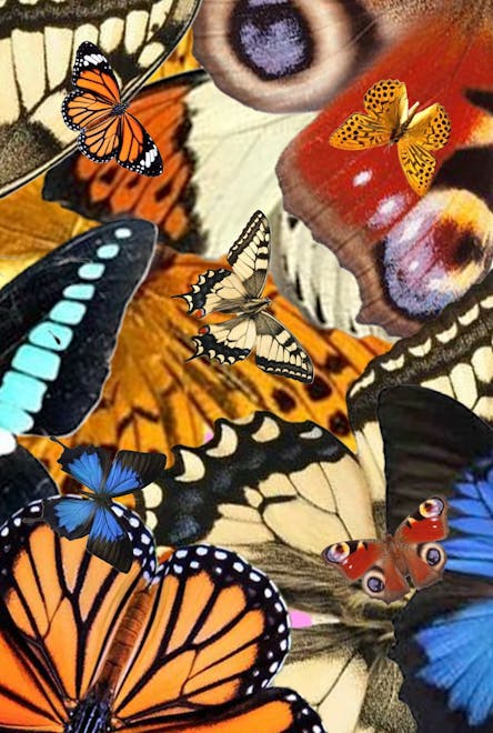 6bca8279-a227-419f-9078-d2d8857de31a