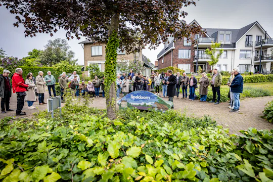 Mozaïekbanken onthuld in Beekbergen, Loenen en Wenum-Wiesel: verhalen in beton en mozaïek