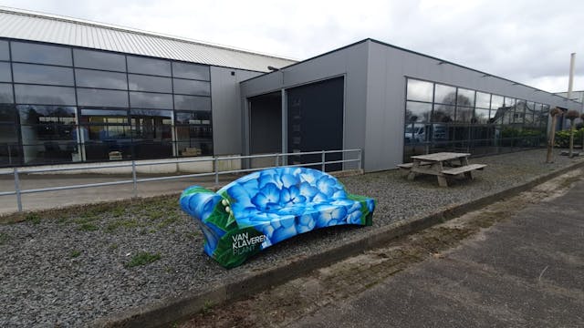 Een ode aan de hortensia in De Kwakel