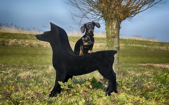 Op zoek naar betonnen meubels voor in de tuin? Kies voor een lucbank!
