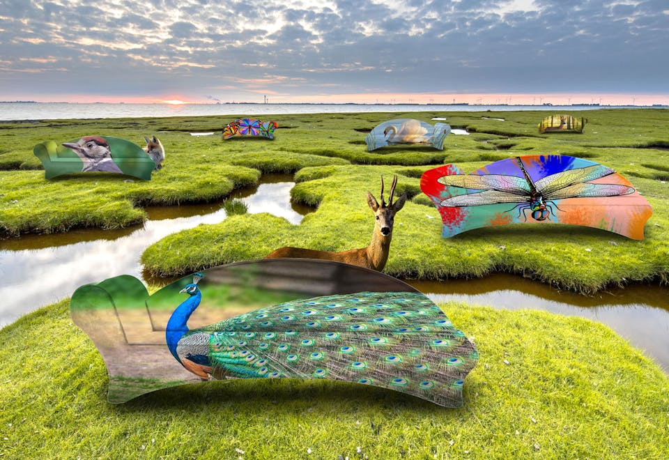 visual-dieren-tbv-website