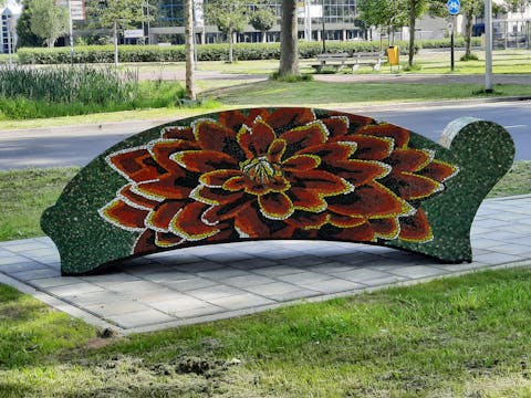 Gezellig kletsen op een dahliabank in Helmond