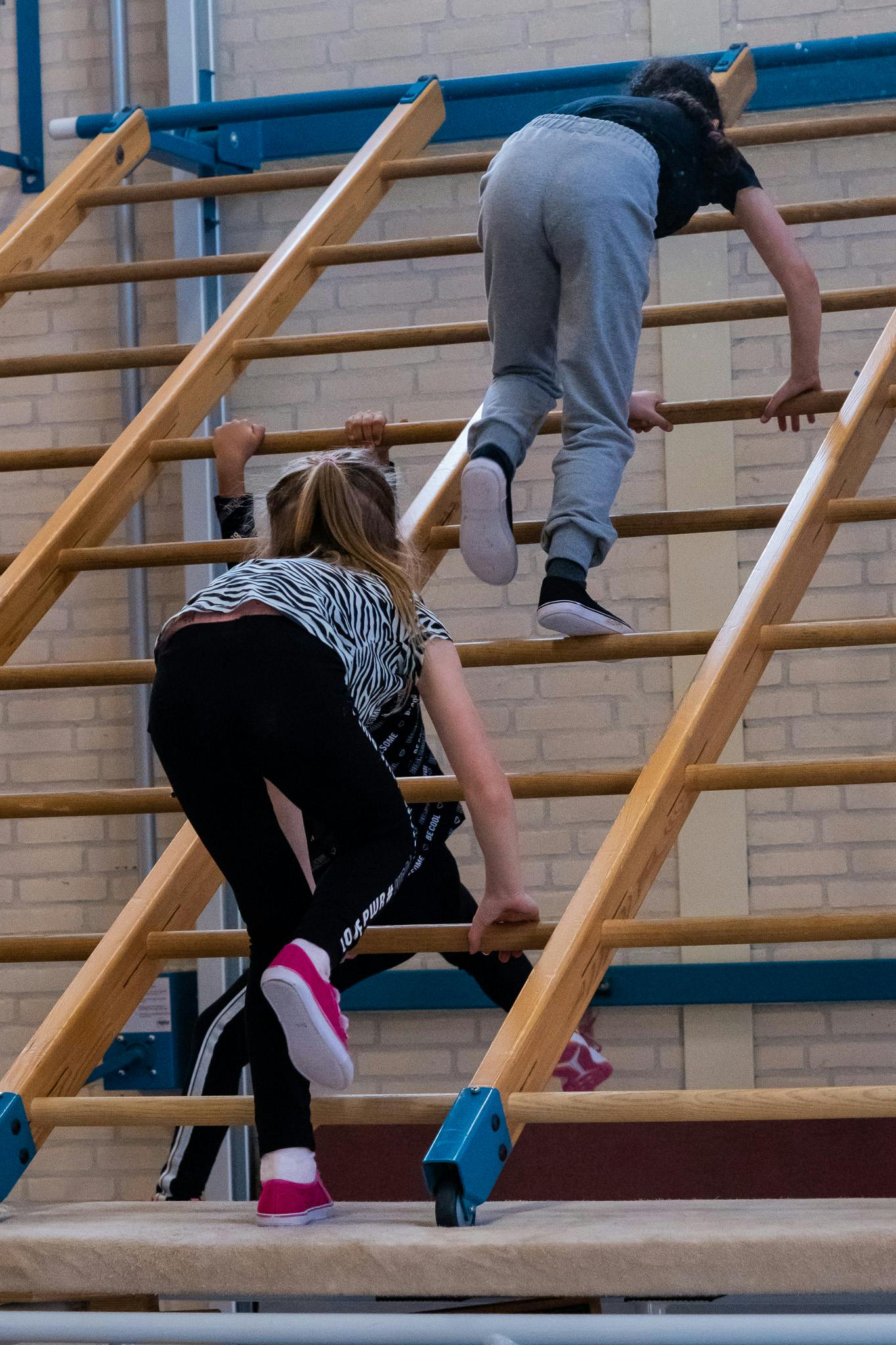 Expeditie Robinson Run