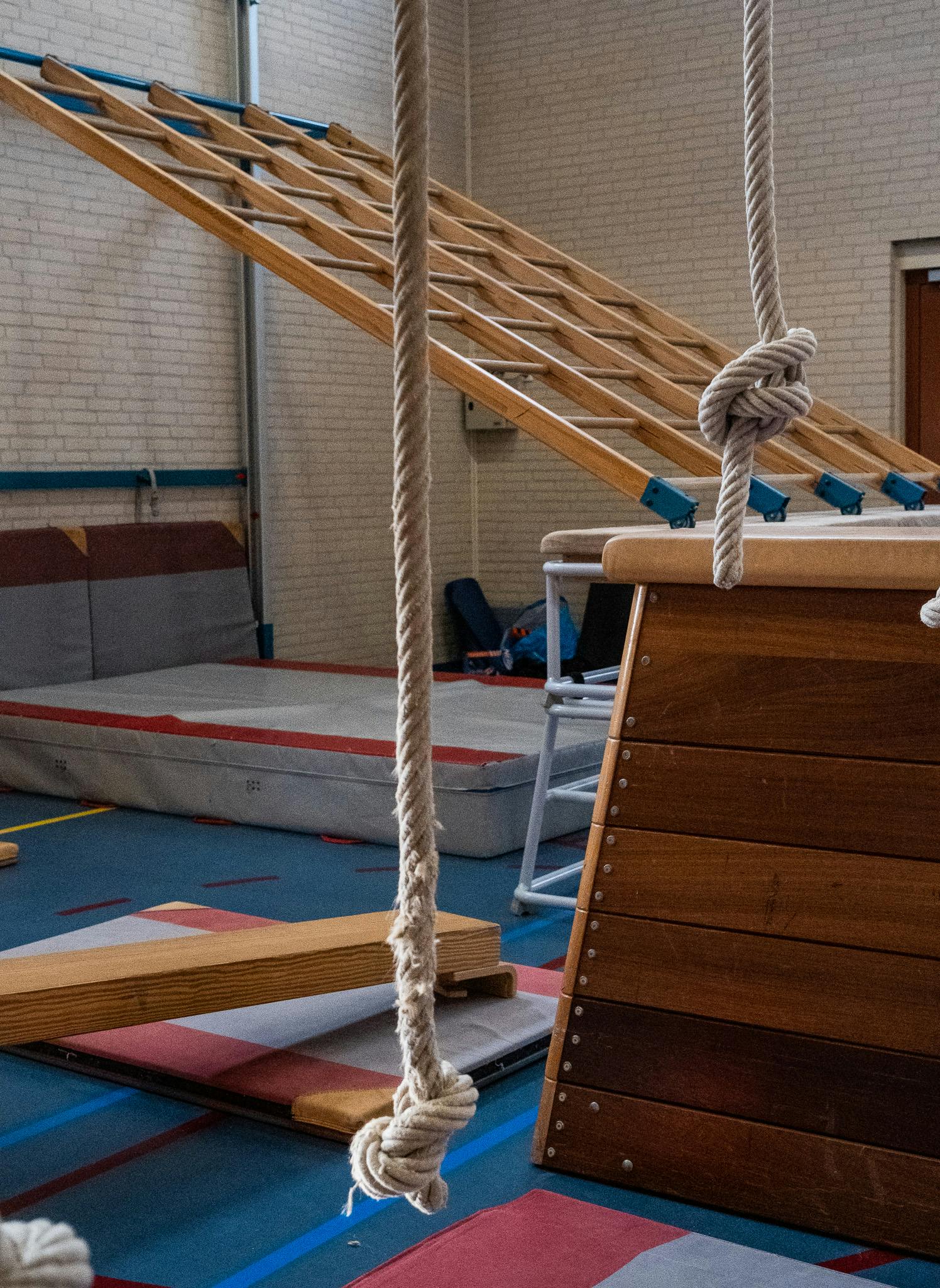 Zweeds Renspel Kersteditie