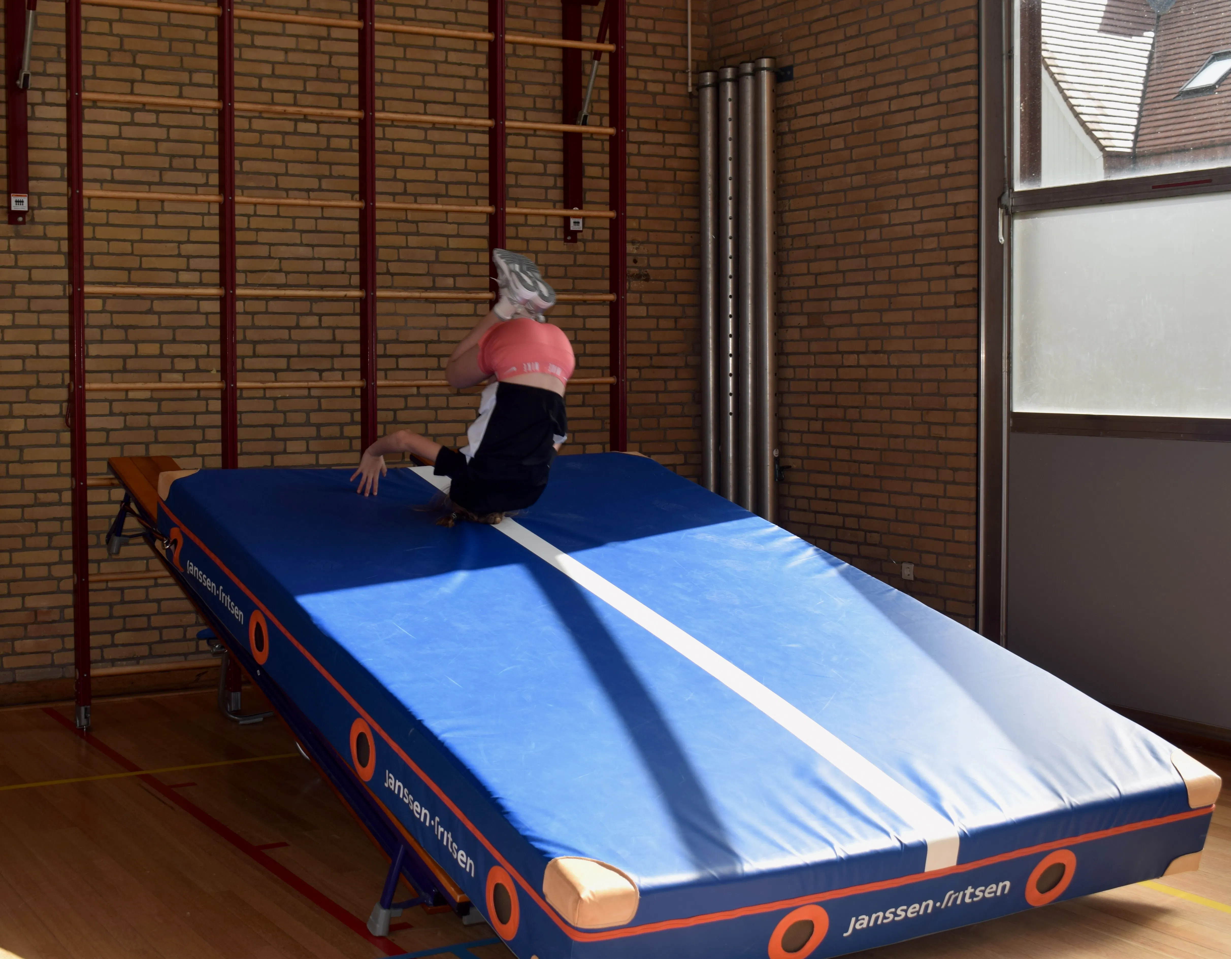 De Buikschuiver