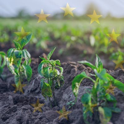 FNLI reactie op EU Vision for Agriculture and Food