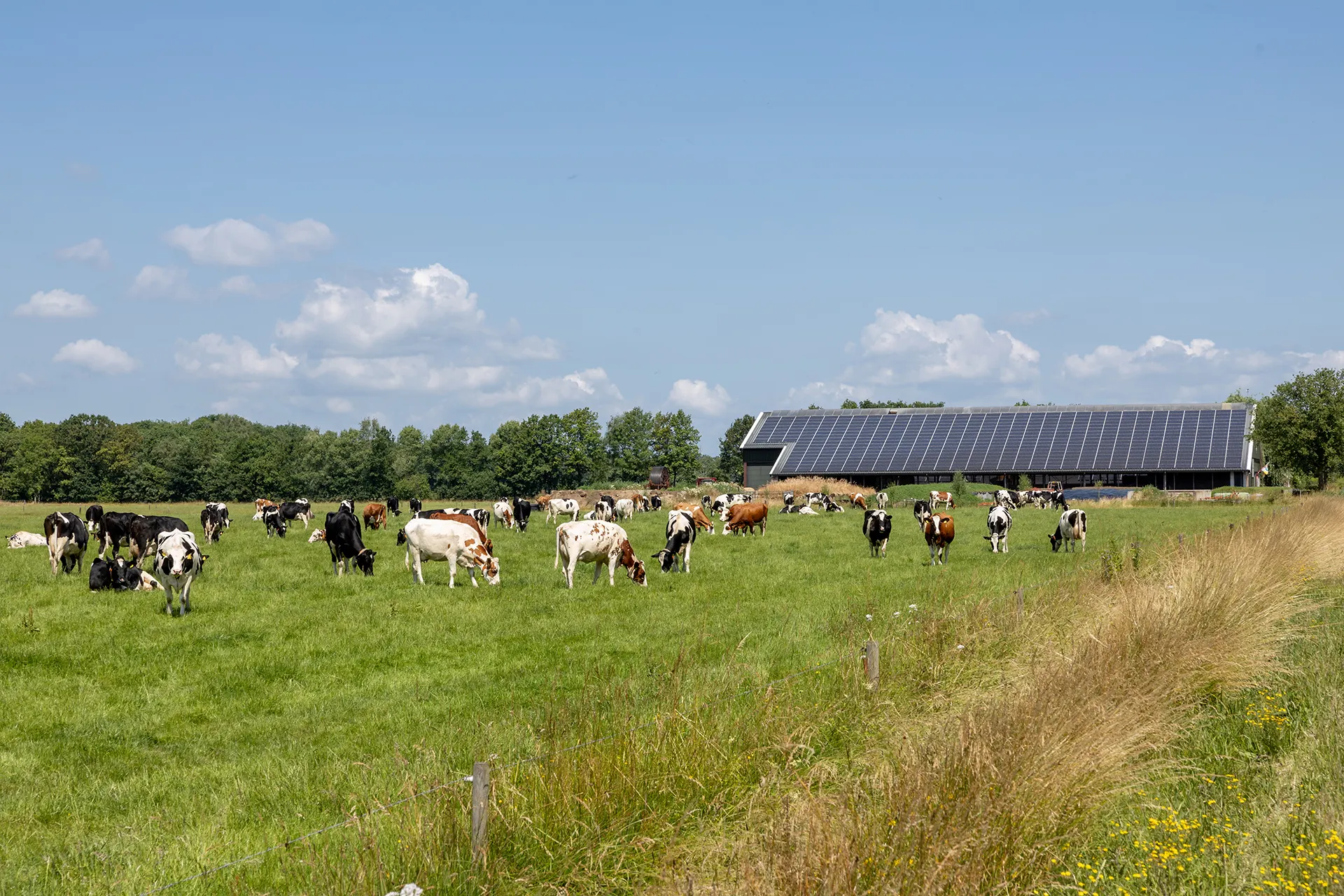 Mars en FrieslandCampina versnellen gezamenlijke klimaatstap