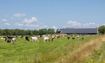 Mars en FrieslandCampina versnellen gezamenlijke klimaatstap