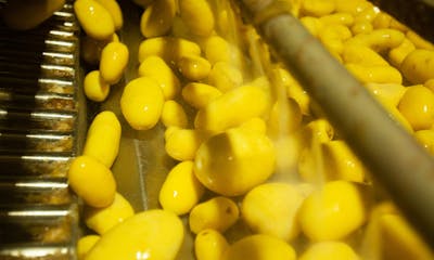 Aardappelverwerkers dringen voedselverspilling verder terug