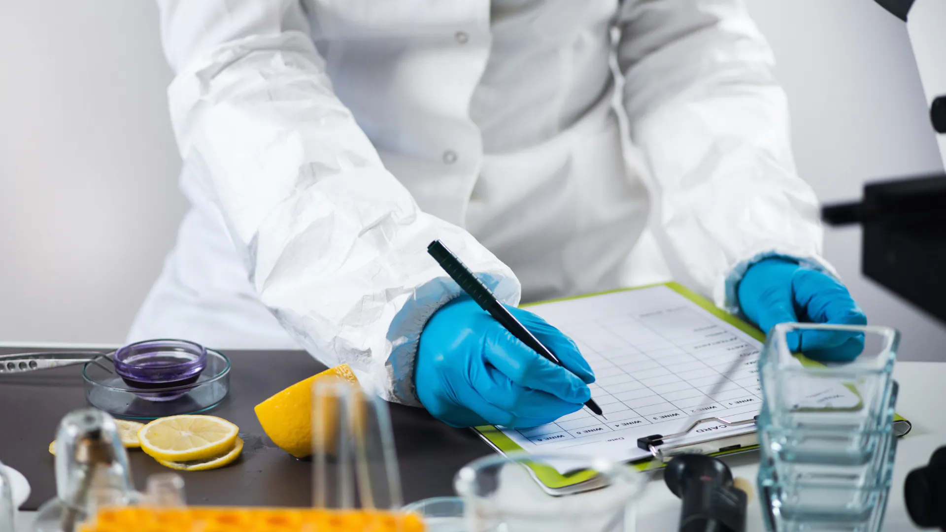 Kennis bundelen: samen sterk in voedselveiligheid