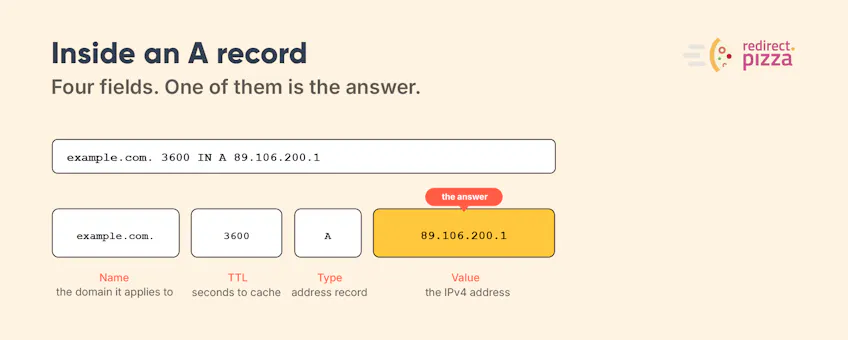 An A record split into its four fields, Name, TTL, Type, and Value, with the IPv4 address highlighted as the answer.