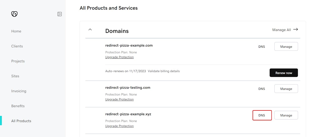 GoDaddy Domain overview