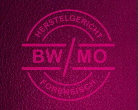 Basisdocument 'het stappenplan' BW/MO