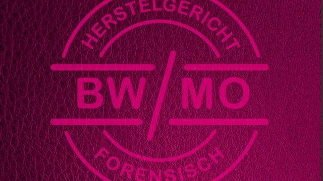 Basisdocument 'het stappenplan' BW/MO
