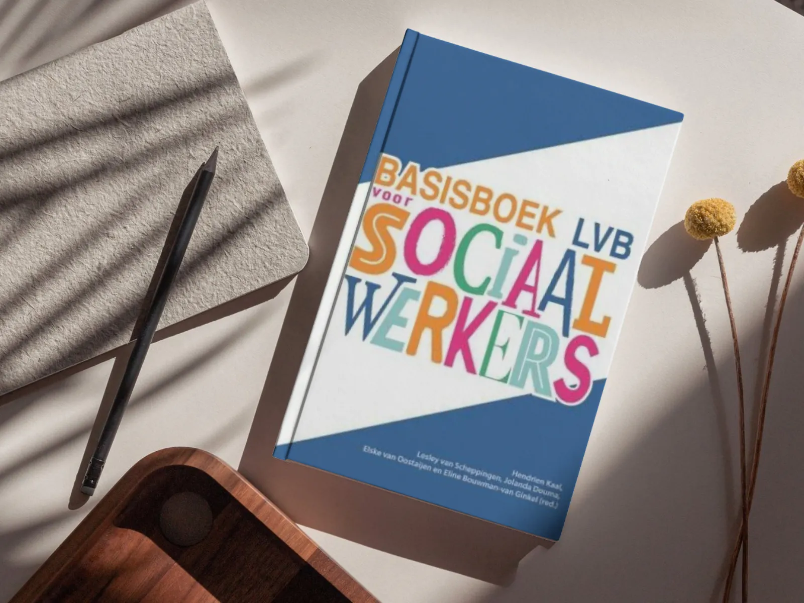 Basisboek LVB voor sociaal werkers
